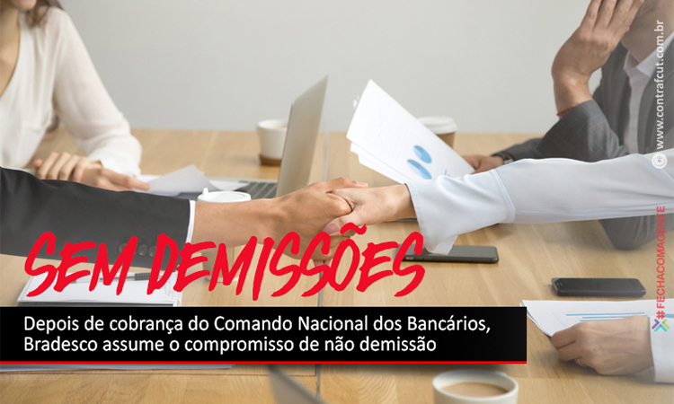 Capa da Notícia